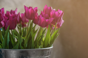 Metal bucket with beautiful bouquet of tulips on blurred background