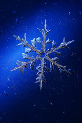 Snowflakes on a blue background