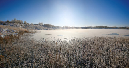 Obraz premium Winter sun over the lake grass