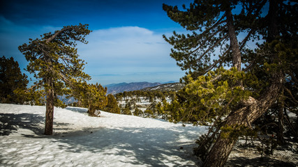 Snow in the mountains of Cyprus