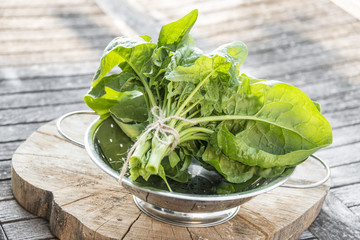 fresh raw spinach leaves