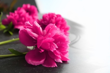 Beautiful peony flowers on table