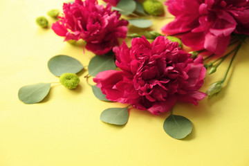 Beautiful composition with flowers and leaves on color background