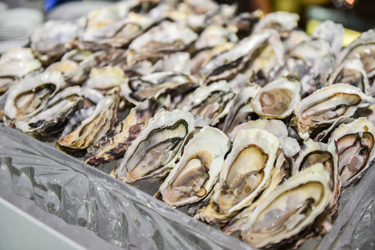 Oysters on a silver tray close up. Traditional fish market stall full of fresh shell oysters