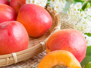 Ripe juicy apricots and a dolly apricot with a stone on a light background and flowers breakfast concept