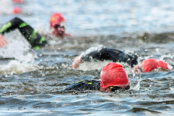 Swimmers during the competition