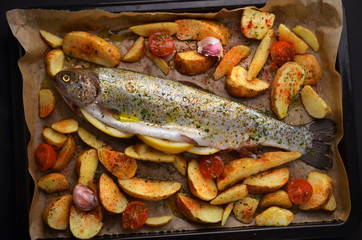 Roasted trout