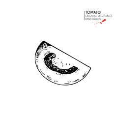 Vector hand drawn set of farm vegetables. Isolated whole tomato. Engraved art. Organic sketched vegetarian objects