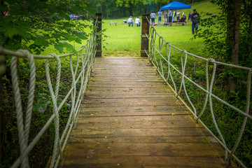 Obraz premium Bridge in Forest 