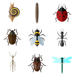 insects flat icon set