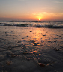 Florida beach at sunrise, with waves washing over sea shells
