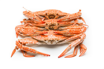 Flower crab steamed isolated on white background