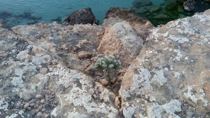 Ibiza island landscape 