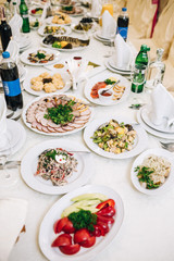 Plates with sliced meat and vegetables