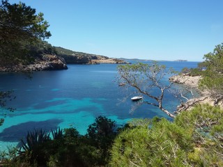 Obraz premium Ibiza island landscape 