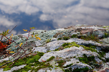 Autumn landscape with stone overgrown moss and pond