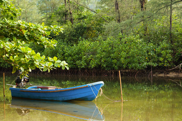 Fototapeta na wymiar The small blue boat parked in a small canal at the mangrove forest.Thailand.