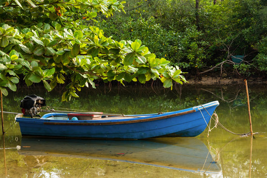 The small blue boat parked in a small canal at the mangrove forest.Thailand.