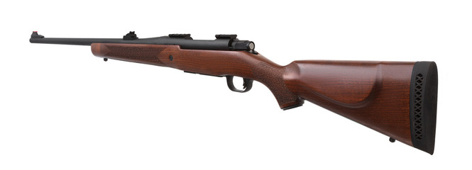 Gun rifle isolated on white