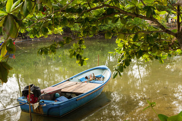 Naklejka na ściany i meble The small blue boat parked in a small canal at the mangrove forest.Thailand.