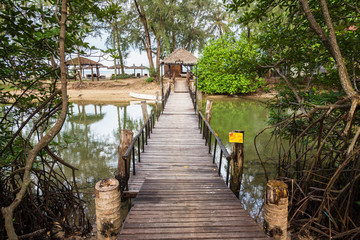 The wooden bridge across a canal in a mangrove forest.