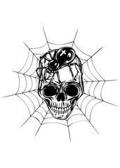 skull spider and web