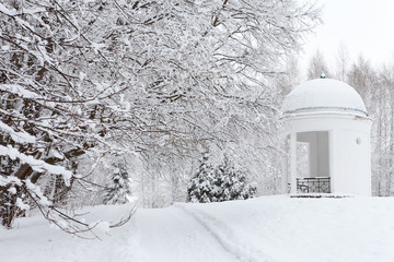 Winter landscape with a gazebo in the park
