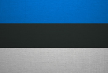 estonian flag