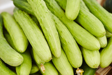 pile of fresh cucumbers