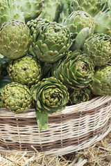 Obraz premium Background of fresh artichokes