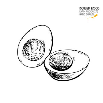 Vector hand drawn set of farm products. Isolated hen boiled egg. Engraved art. Organic sketched farming meal.