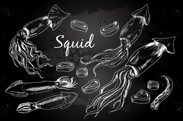 Hand drawn engraved icons. Delicious food menu squids