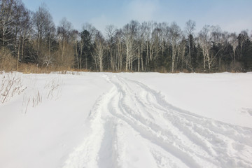 Fototapeta na wymiar Winter landscape. Forest and tracks of car on white snow