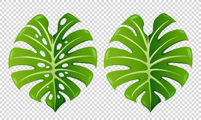 Two patterns of green leaves