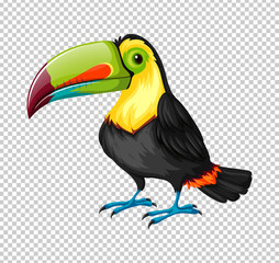 Obraz na płótnie Canvas Toucan bird on transparent background