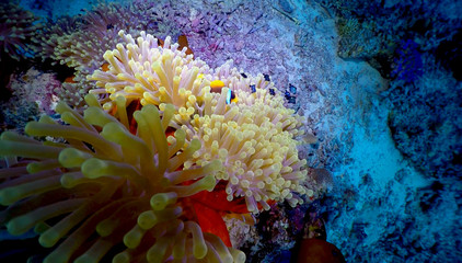 11.07_nurek3_paradise_00103 © Jacek