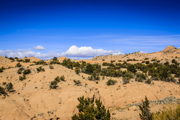 Fototapeta na wymiar View of the Santa Fe National Forest in New Mexico