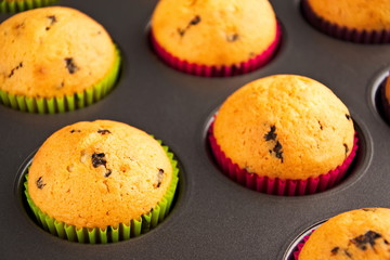 Berry muffins in baking mold