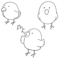 vector set of bird
