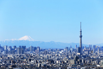 東京 都市風景と富士山