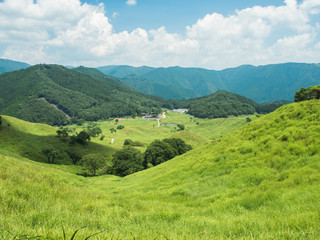 Fototapeta premium 夏の山