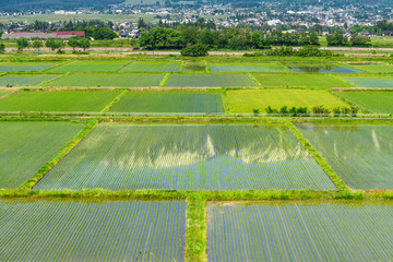 Obraz premium 春の信州 水田に映る北アルプスの山並み