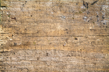 Old wooden board as background
