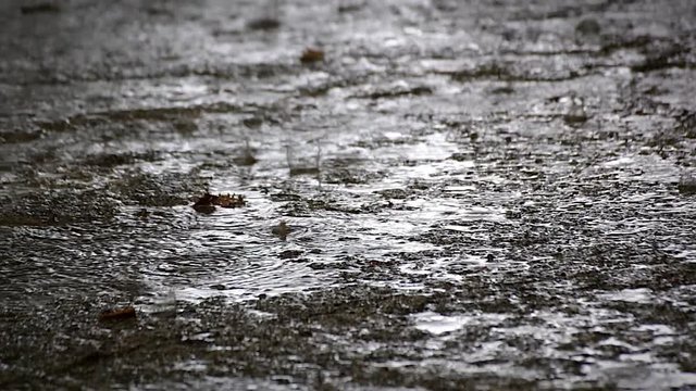 Closeup shot of heavy rain on ground