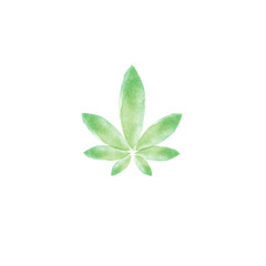 marijuana leaf vector illustration