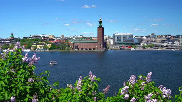 View of central Stockholm and a commuter ferry on a summer´s day with lilacs in the foreground.