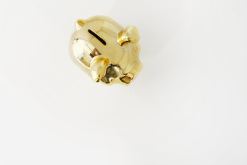 Piggy bank of pigs of gold on white background