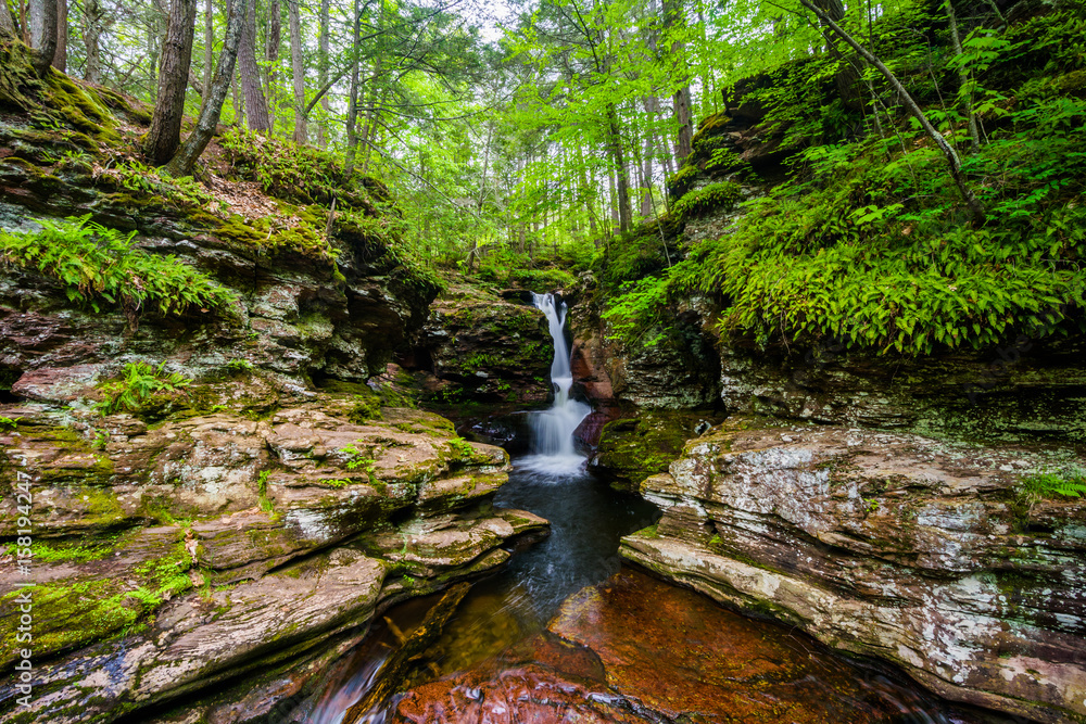 Wall mural Adam's Falls, at Ricketts Glen State Park, Pennsylvania.