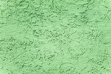 Plaster bark beetle as background