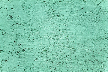 Plaster bark beetle as background